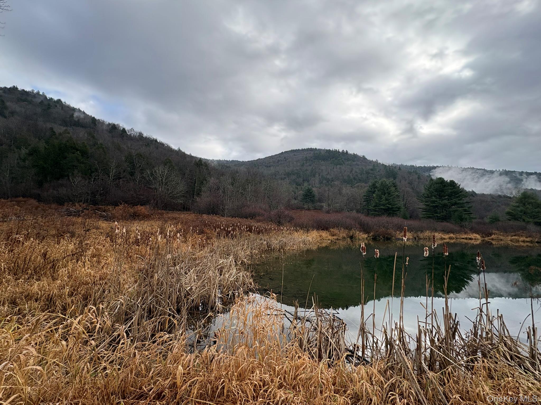 1140 Harvard Road Out of NYC East Branch, NY 13756