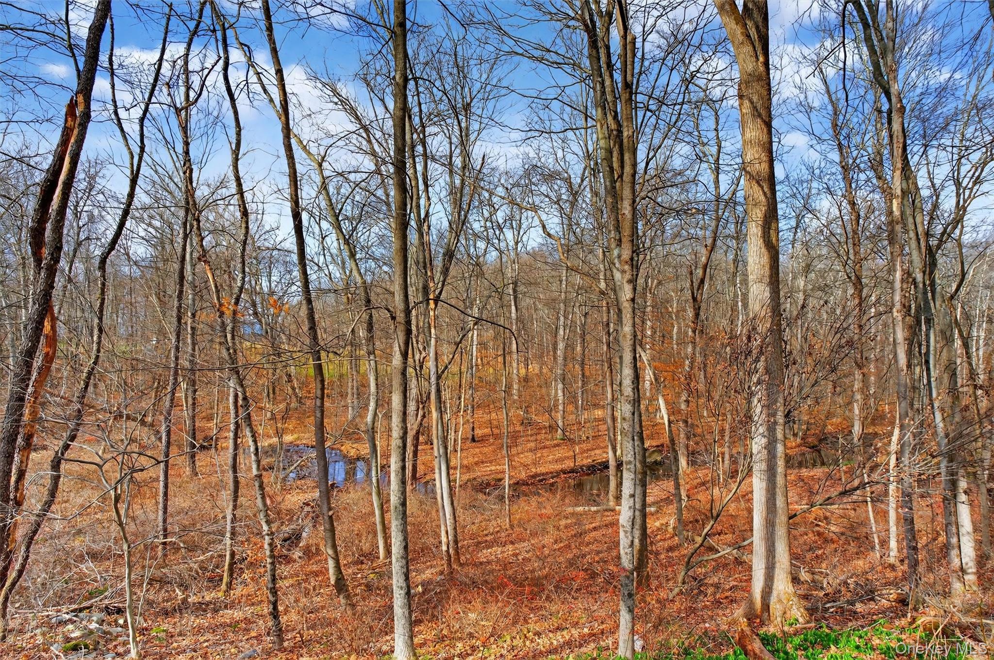 1360 State Route 208 Out of NYC Wallkill, NY 12589