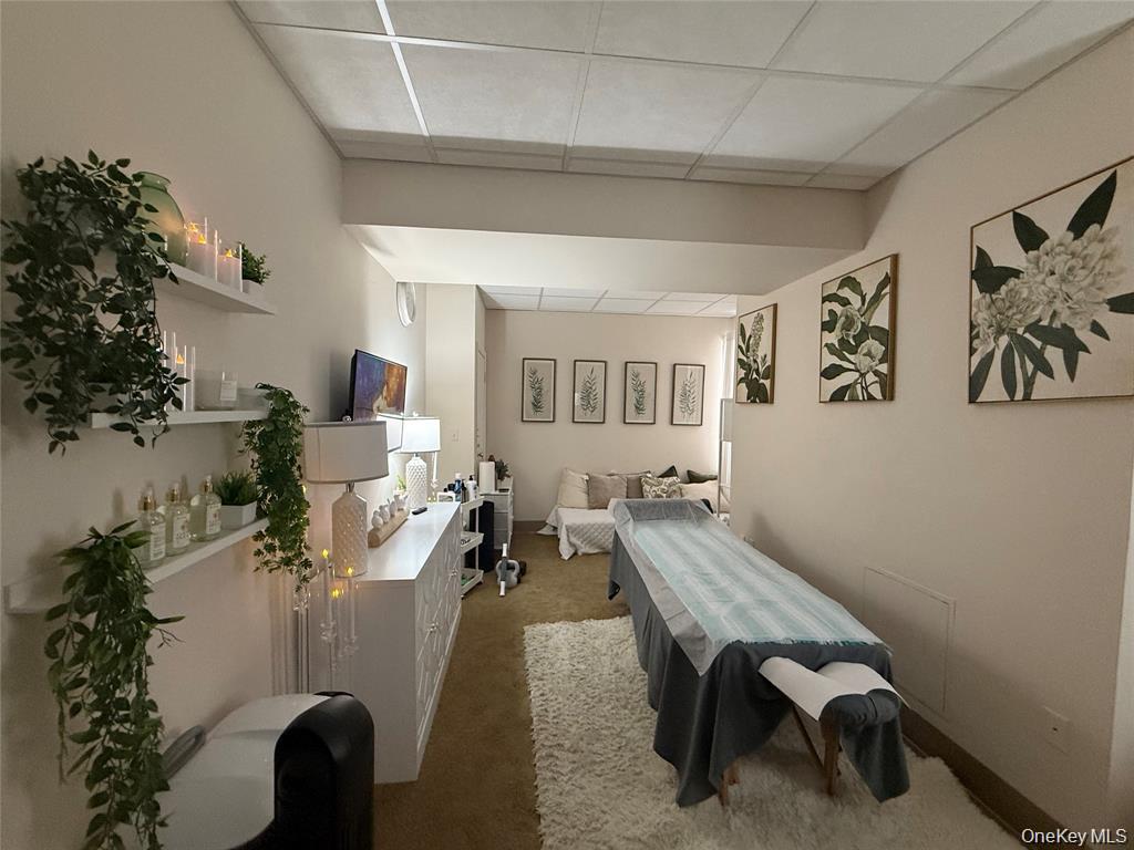 185 Willis Avenue 1 Mineola Mineola, NY 11501