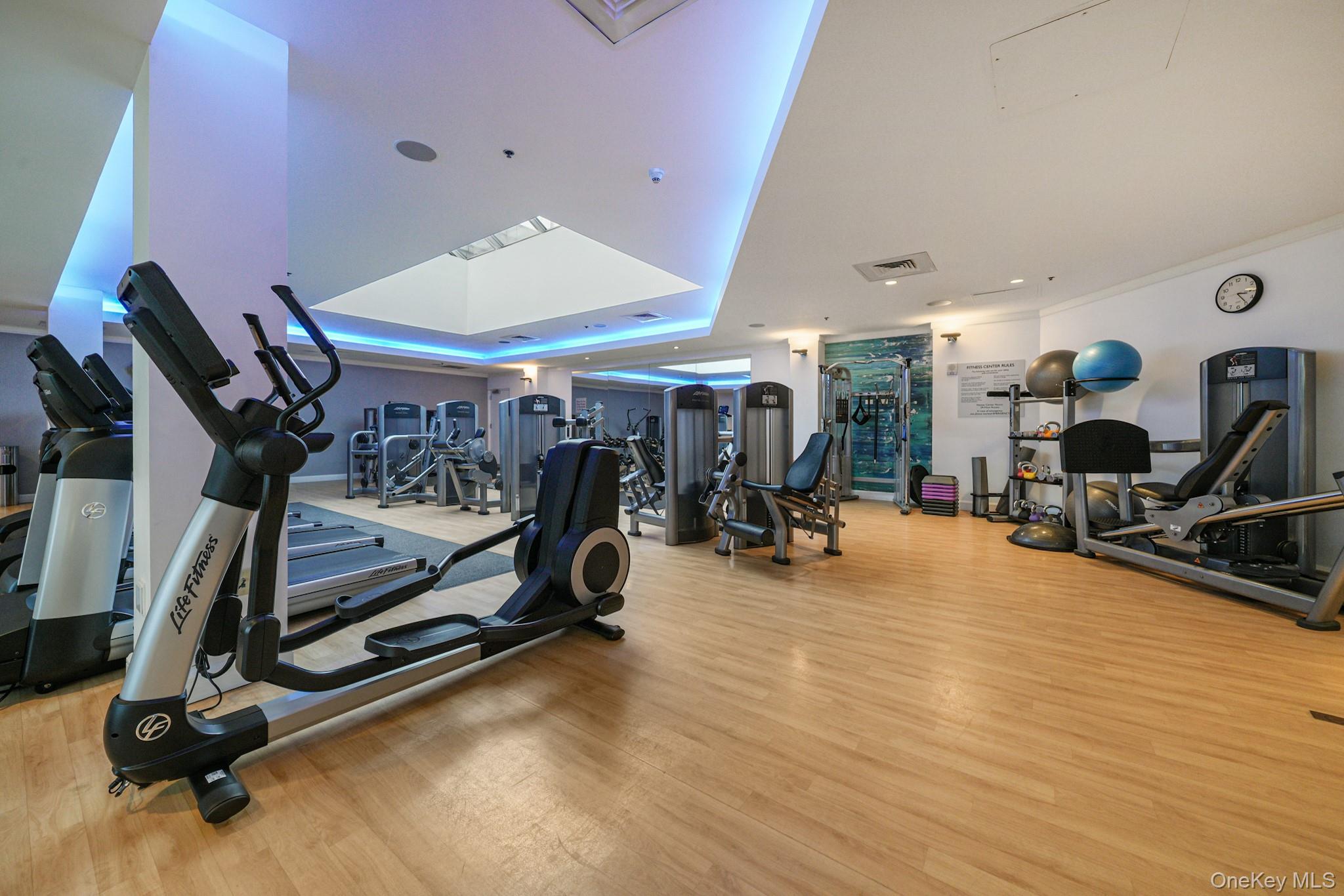 1 Renaissance Square 15-E White Plains White Plains, NY 10601