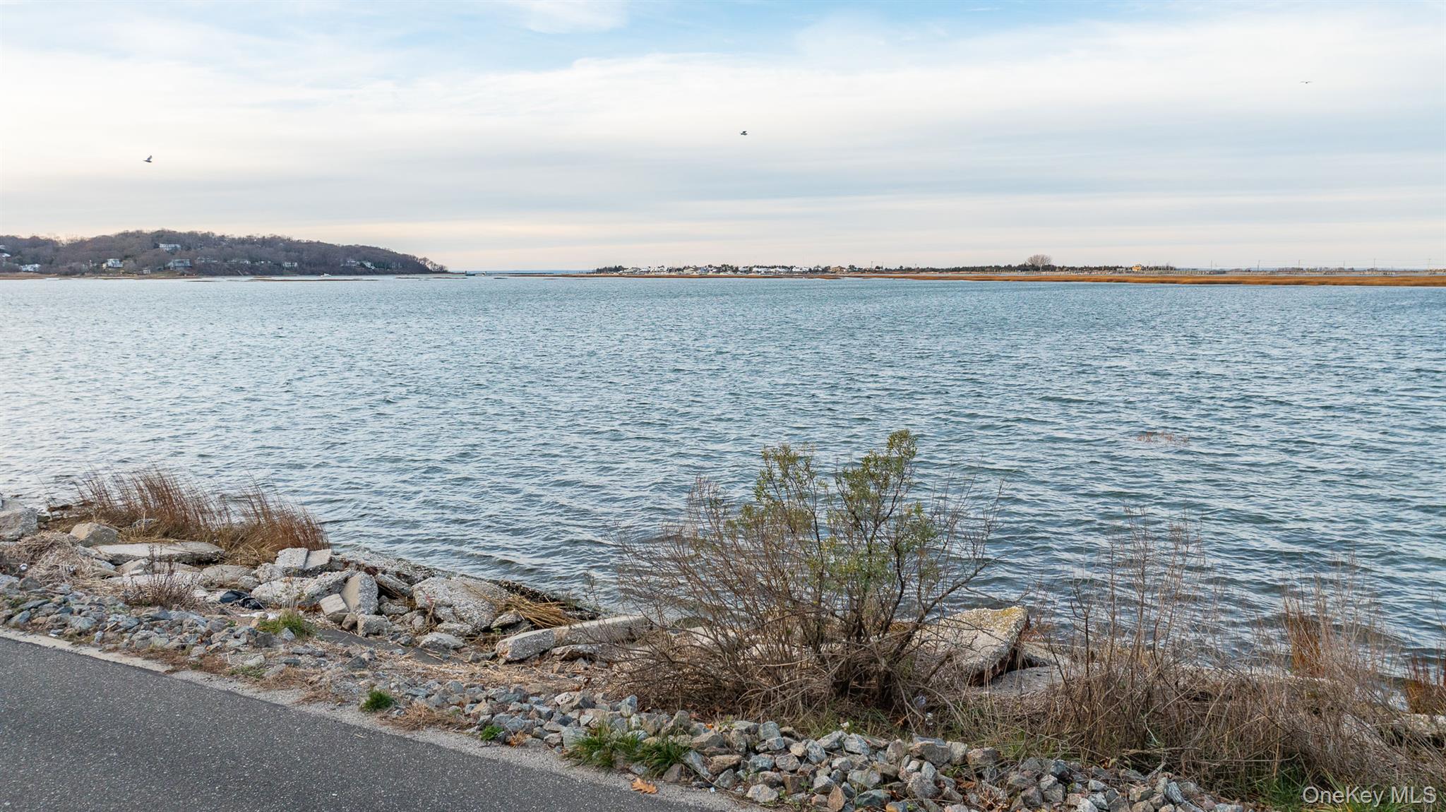 62 Birch Hill Road Mount Sinai, NY 11766