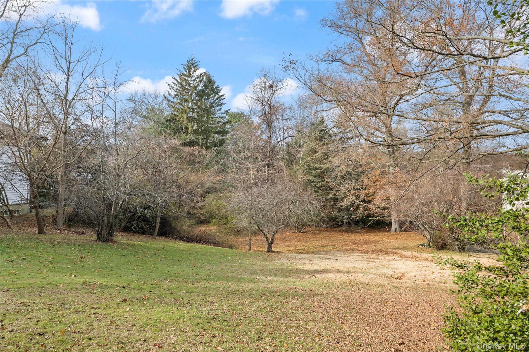 Ladd Road Bronx, NY 10471