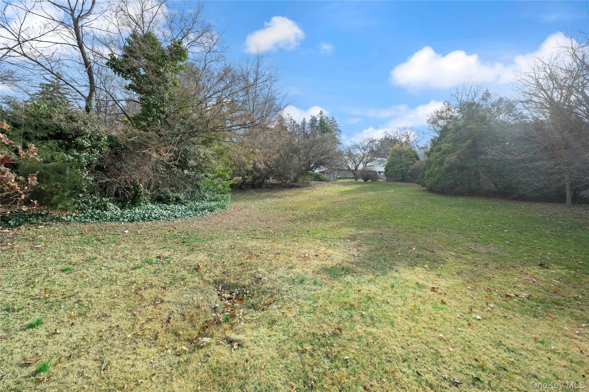 Ladd Road Bronx, NY 10471