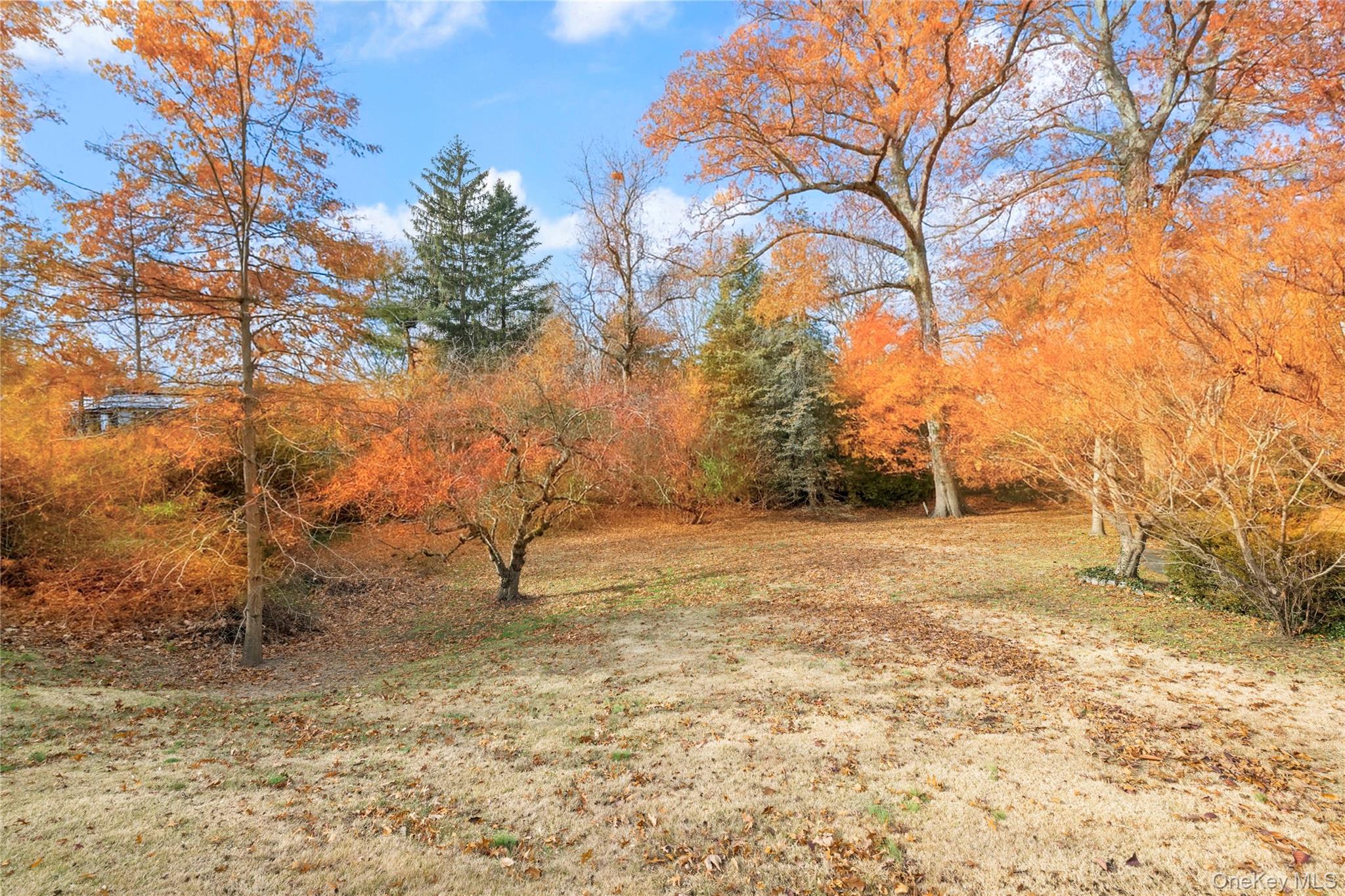 Palisade Avenue Bronx, NY 10471