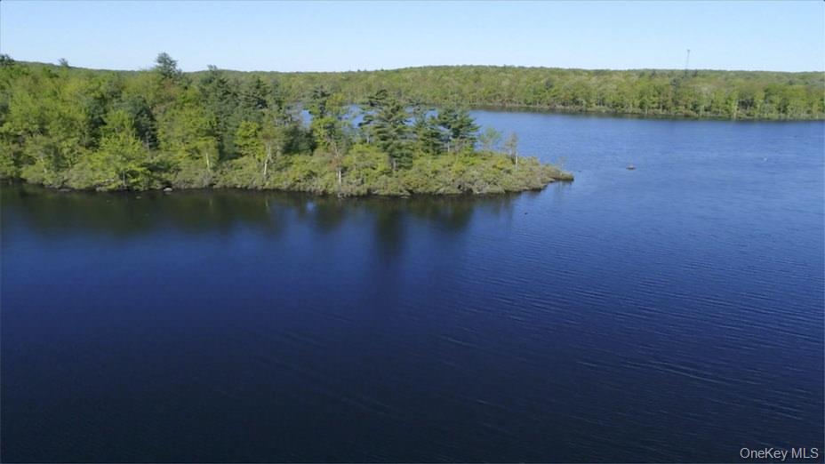 415 N Shore Drive Out of NYC Wurtsboro, NY 12790