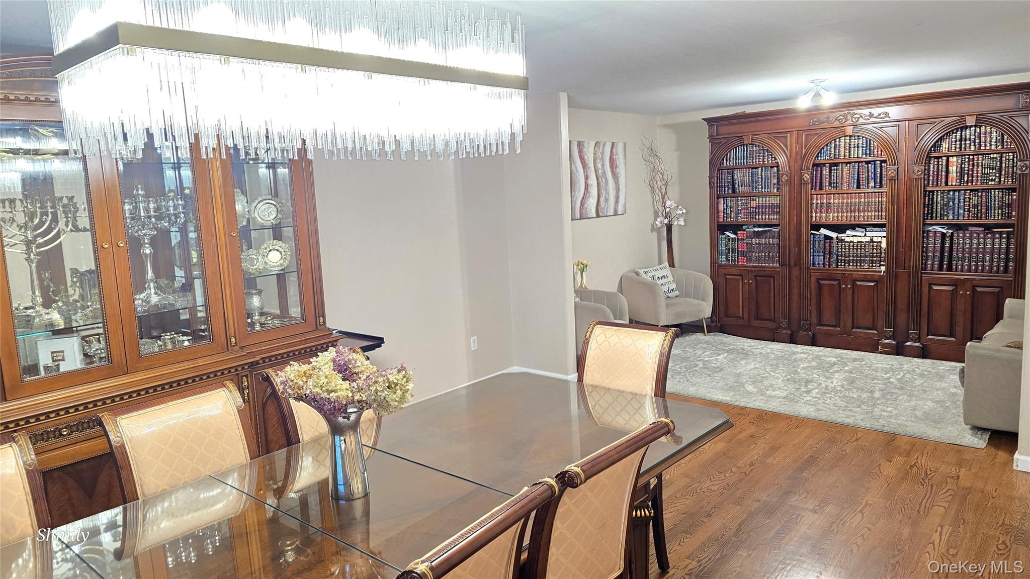 9 Gibbs Court 201 Out of NYC Monsey, NY 10952