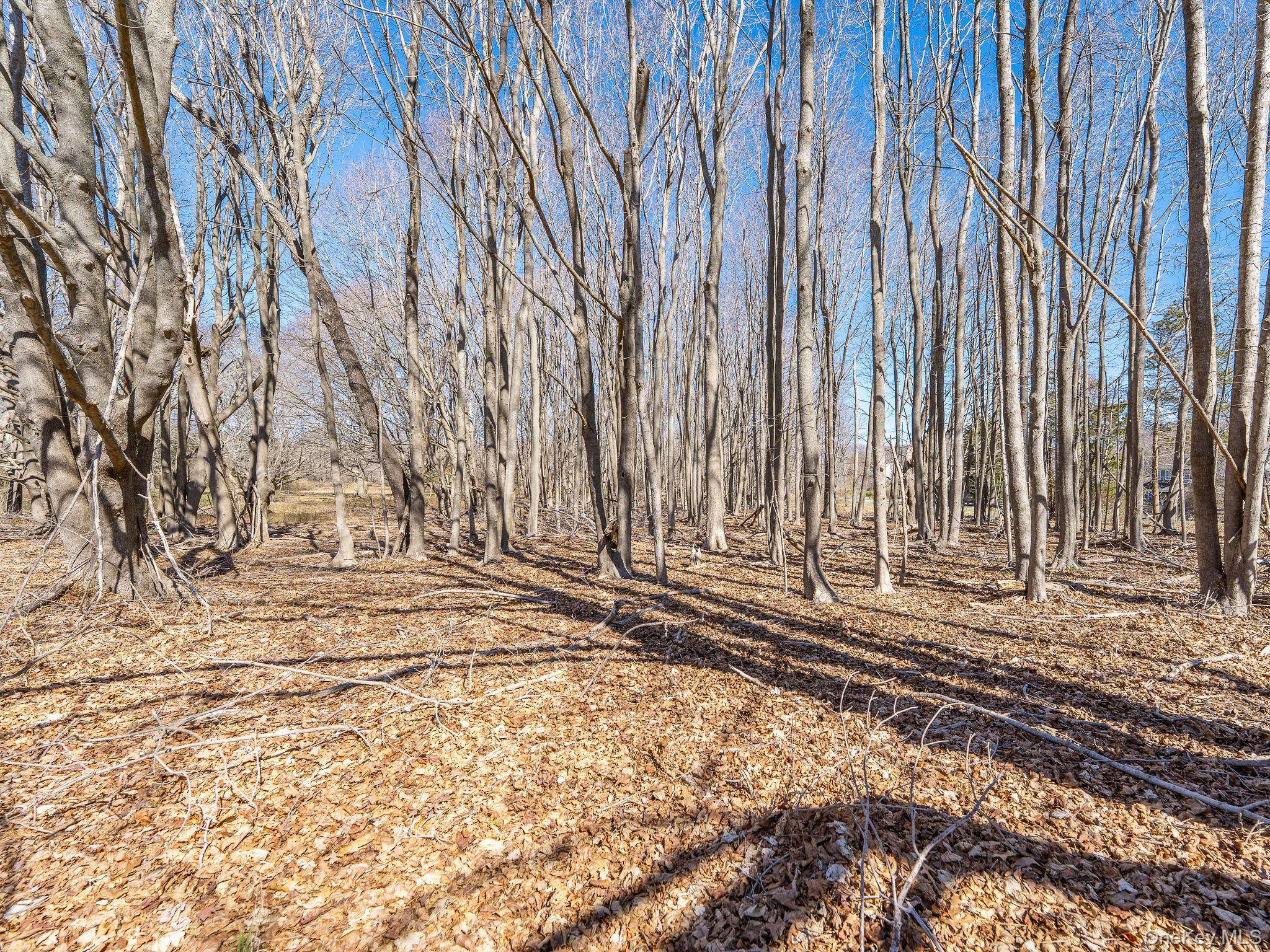 195 Mt Beulah Avenue Southold Southold, NY 11971