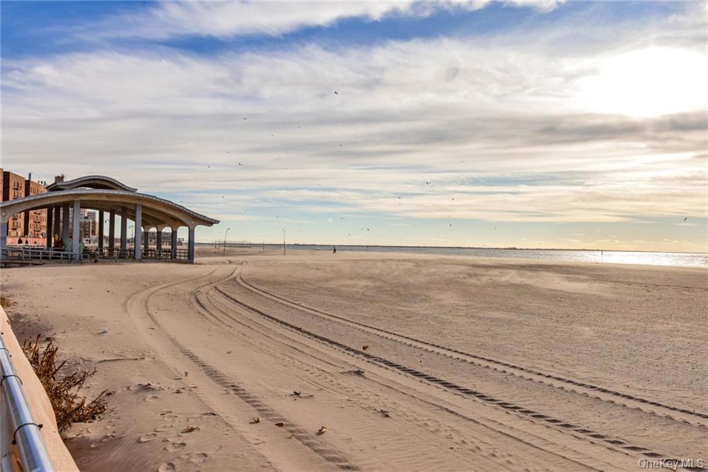 3101 Ocean Parkway 6-F Brooklyn, NY 11235