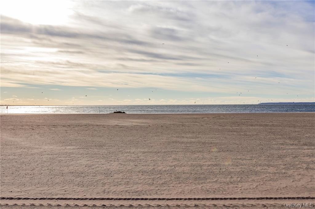 3101 Ocean Parkway 6-F Brooklyn, NY 11235