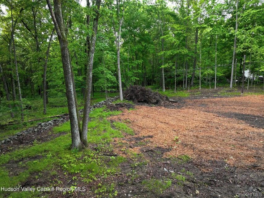 154 Forest Hill Drive Out of NYC Kingston, NY 12401