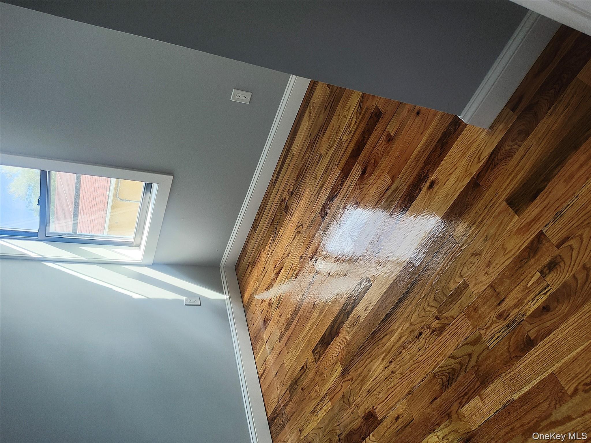 13225 Ruby Street Ozone Park Ozone Park, NY 11414