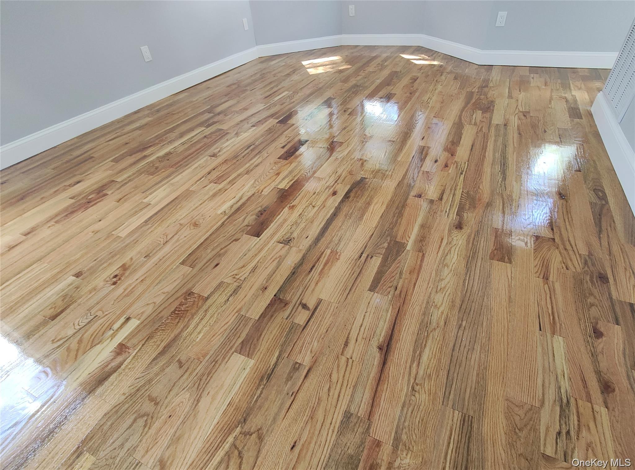 13225 Ruby Street Ozone Park Ozone Park, NY 11414