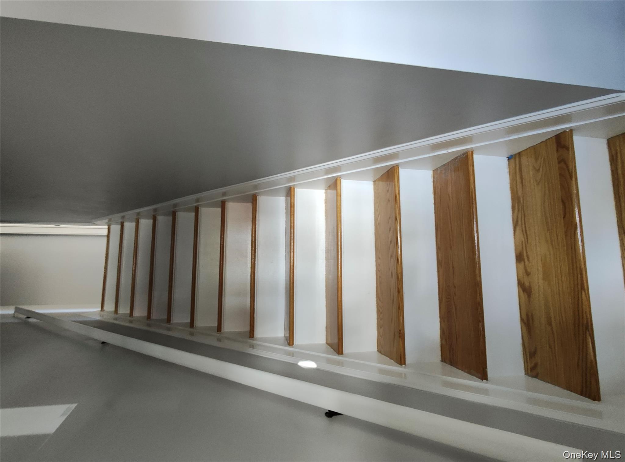 13225 Ruby Street Ozone Park Ozone Park, NY 11414