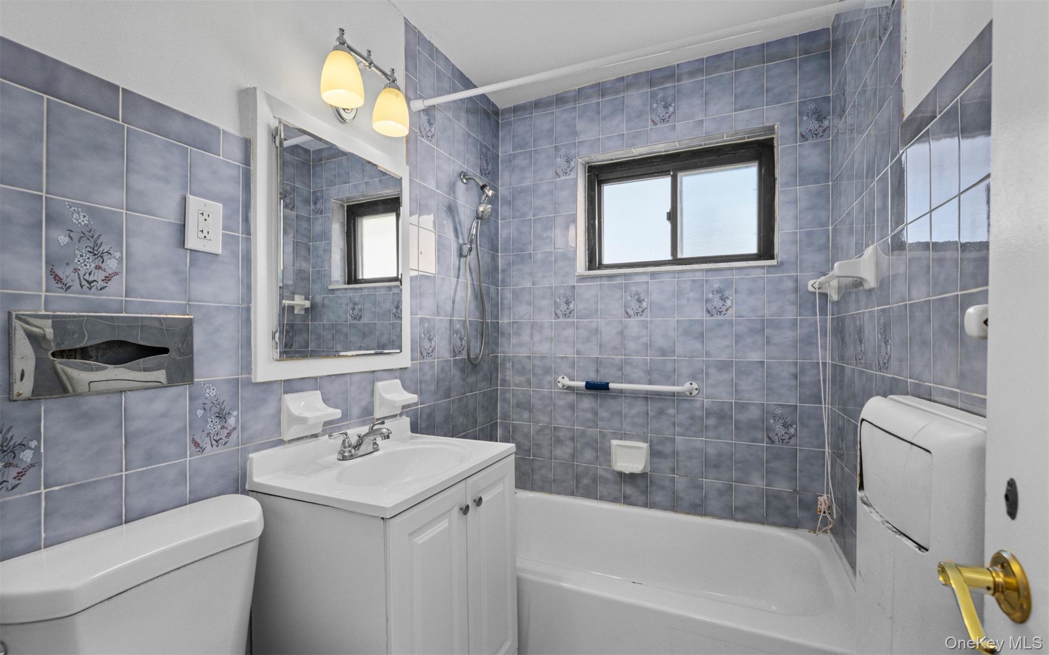 113 15th Street 1-C Garden City Garden City, NY 11530