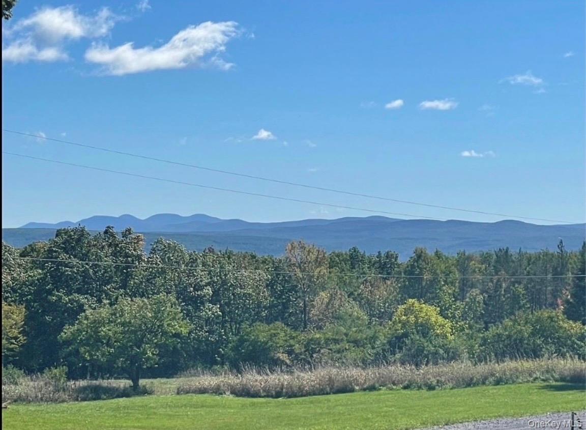 929 Patria Road Out of NYC Call Listing Agent, NY 12071