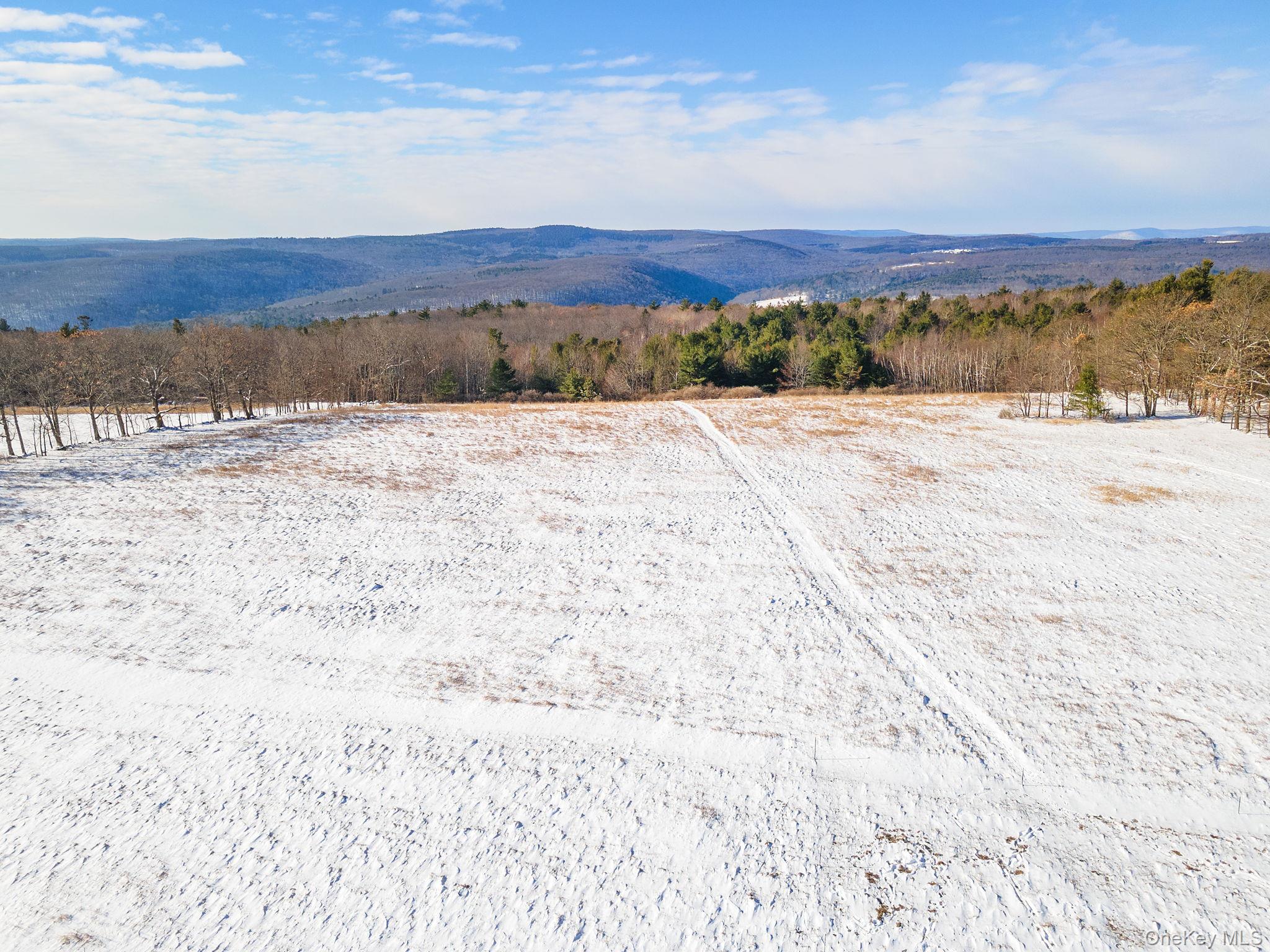 929 Patria Road Out of NYC Call Listing Agent, NY 12071