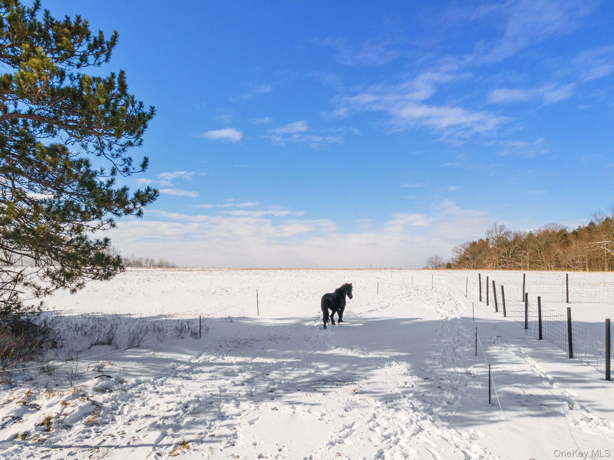 929 Patria Road Out of NYC Call Listing Agent, NY 12071