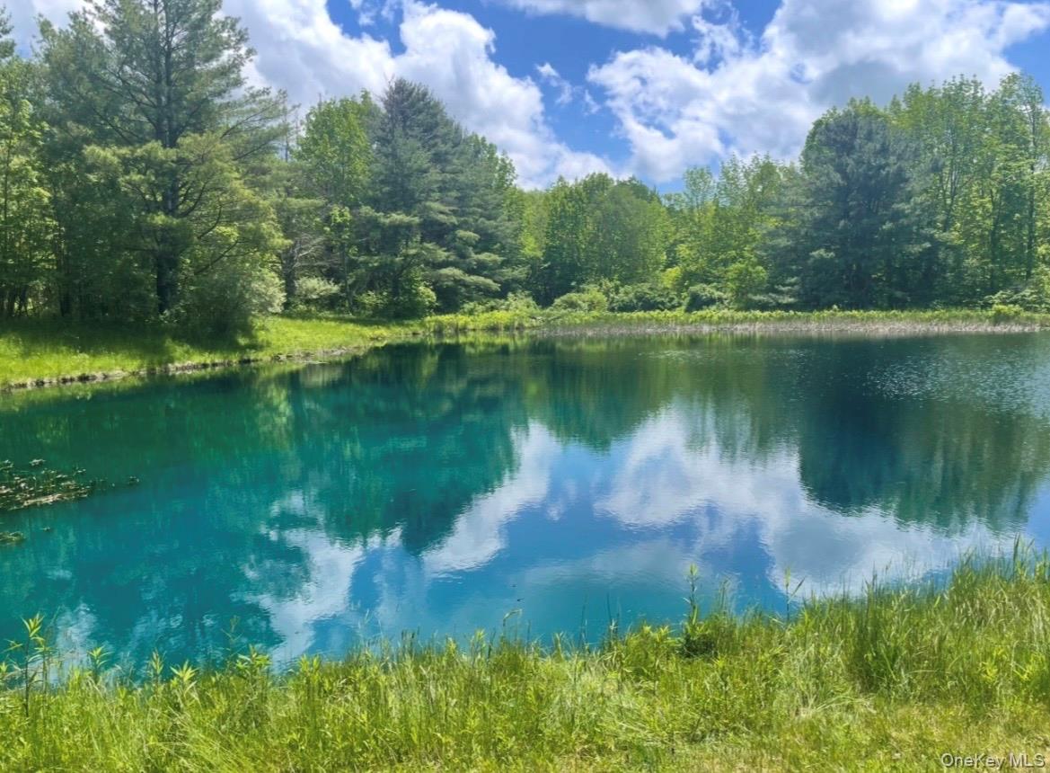 929 Patria Road Out of NYC Call Listing Agent, NY 12071