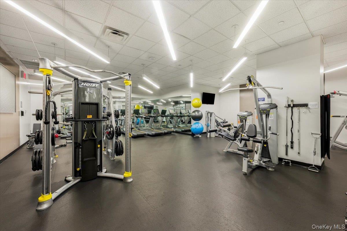 7 Dekalb Avenue 19-F Brooklyn, NY 11201