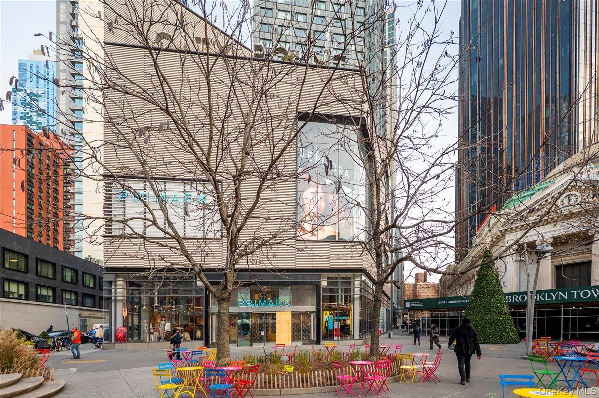 7 Dekalb Avenue 19-F Brooklyn, NY 11201