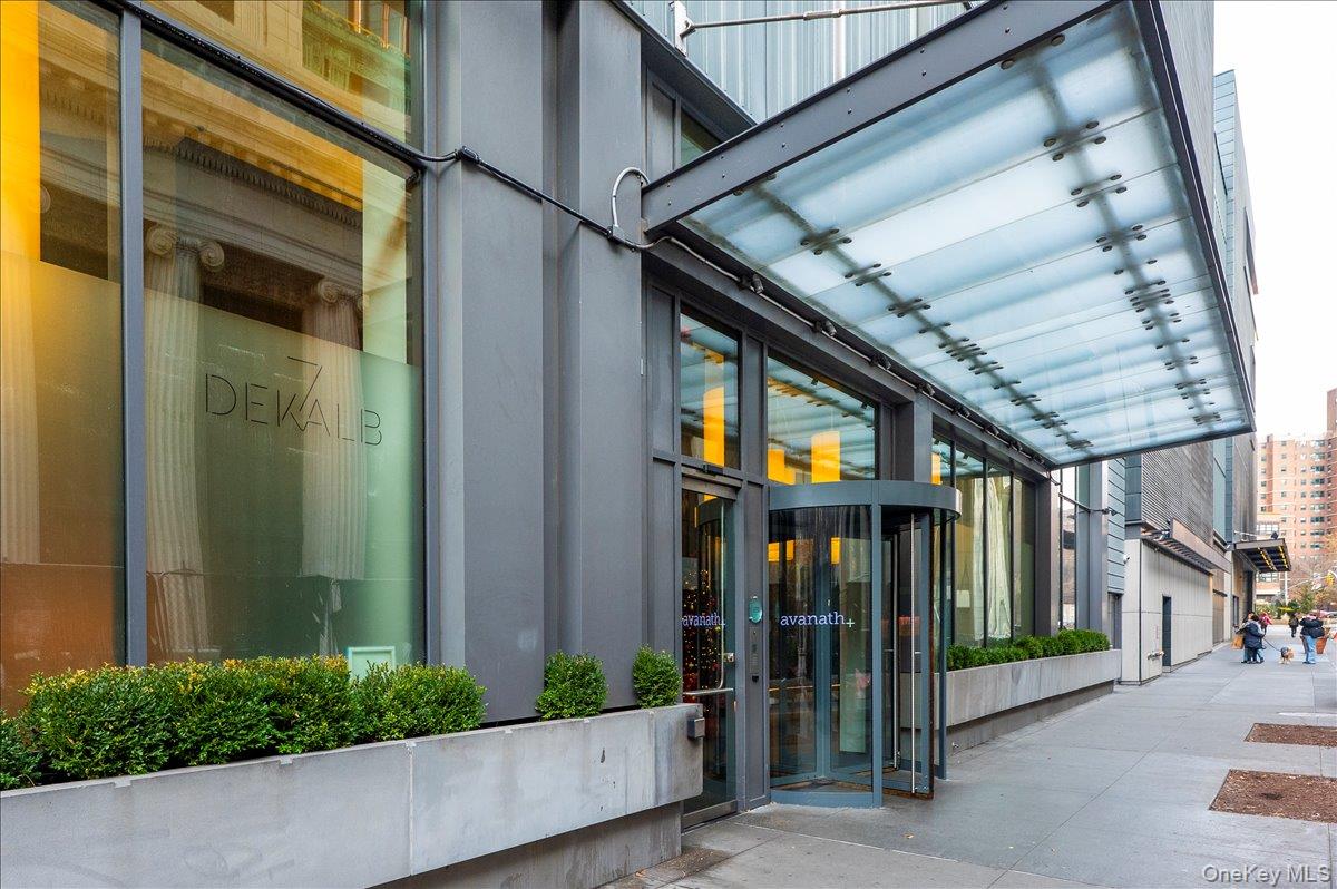 7 Dekalb Avenue 19-F Brooklyn, NY 11201