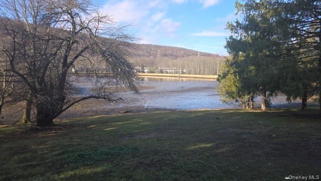 503 Mountain Laurel Drive Out of NYC Monroe, NY 10950