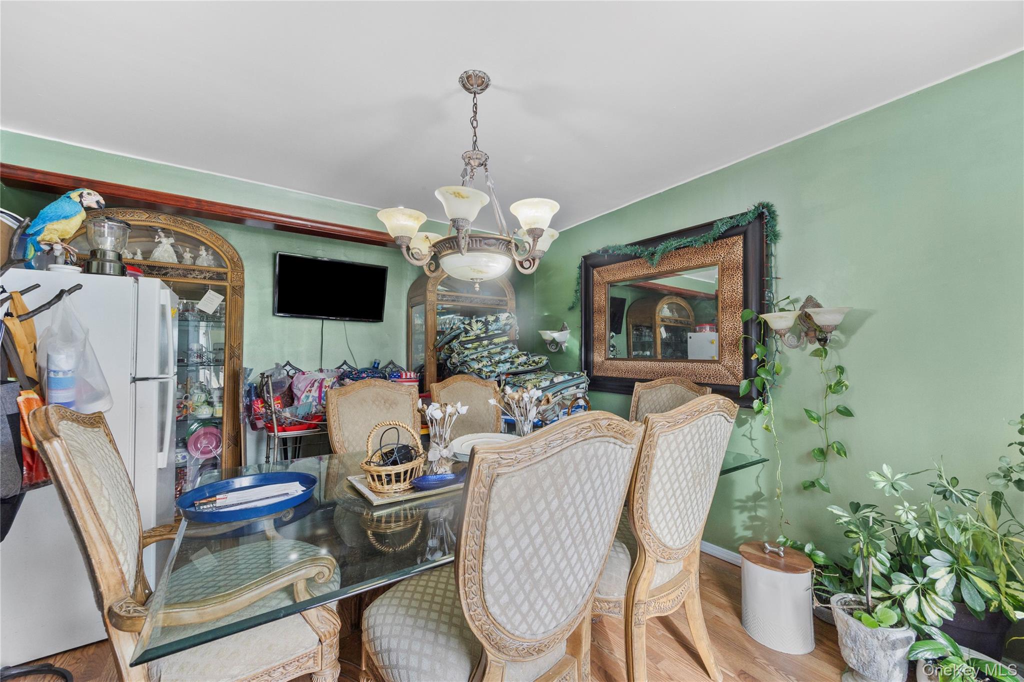 37 Okane Street Central Islip Central Islip, NY 11722