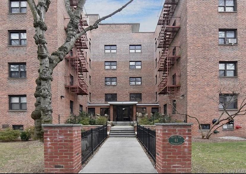 61 White Oak Street 3-A New Rochelle New Rochelle, NY 10801