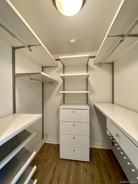 2304 Vista View Drive 2304 Farmingville Farmingville, NY 11738