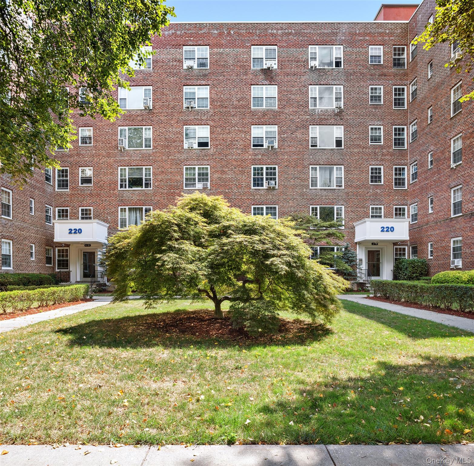210 Pelham Road 5-M New Rochelle New Rochelle, NY 10805