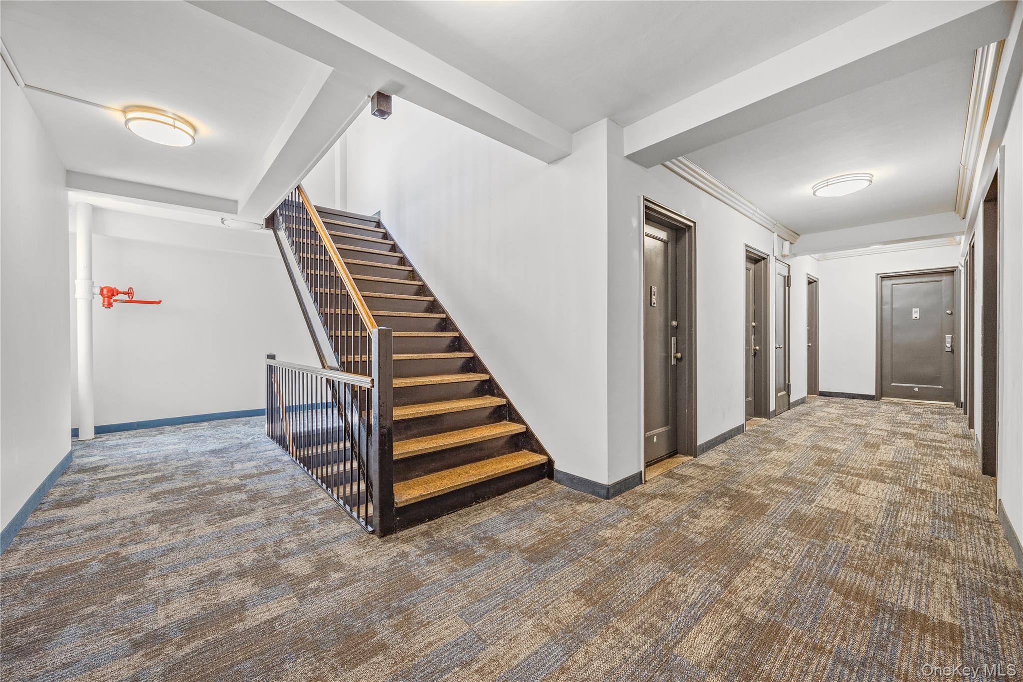 210 Pelham Road 5-M New Rochelle New Rochelle, NY 10805