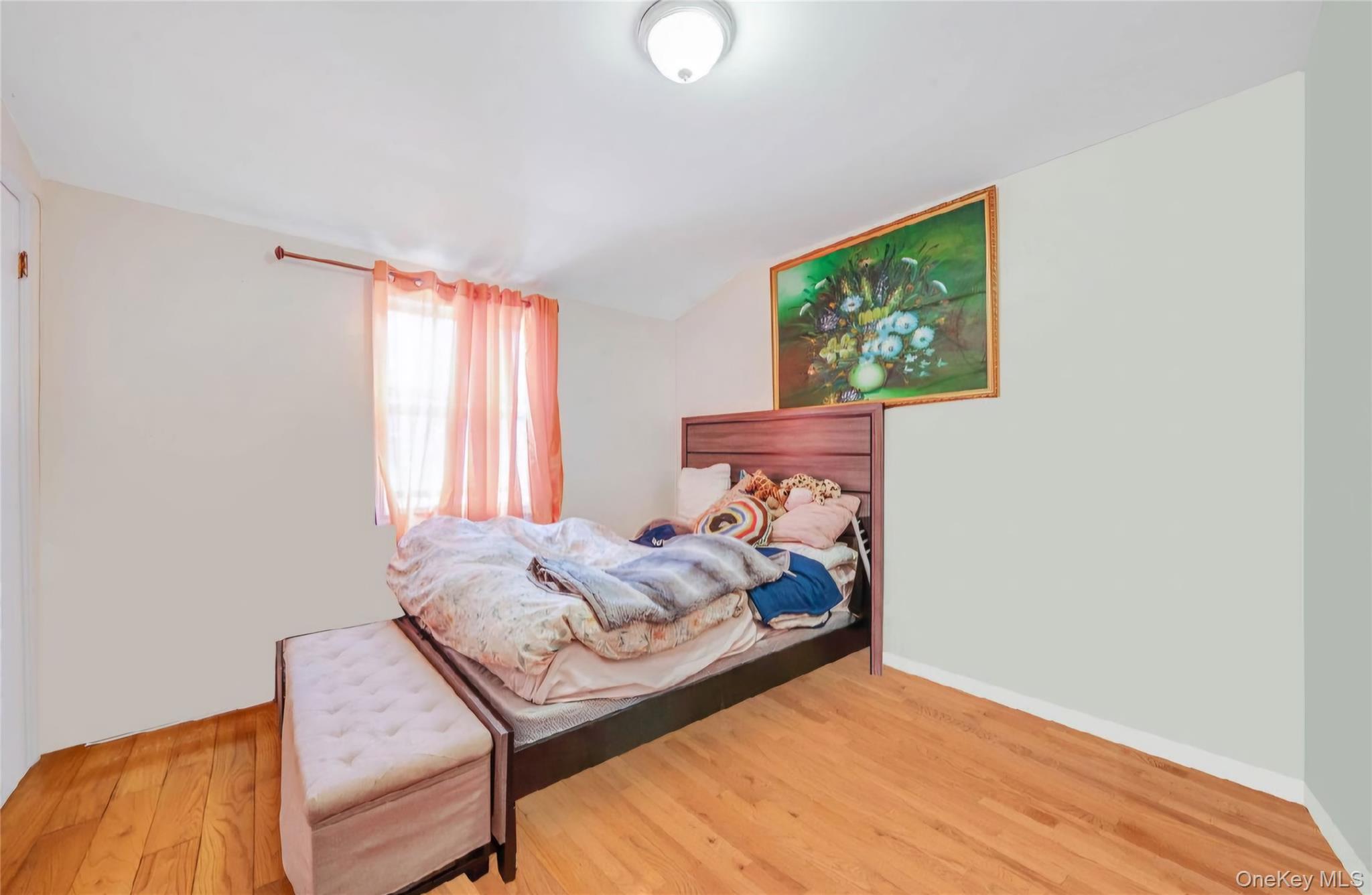 14746 223rd Street Springfield Gardens, NY 11413