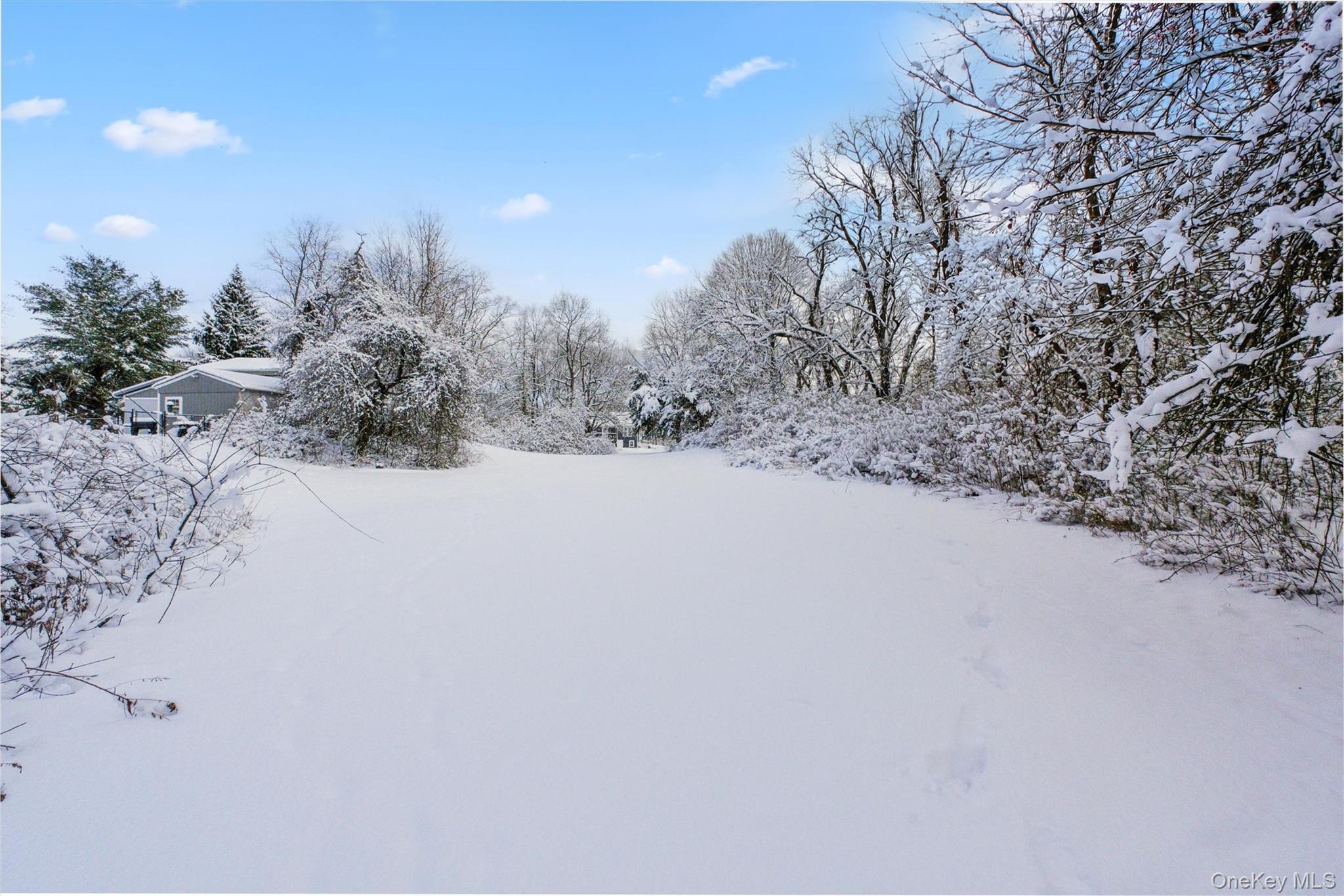 91 Clove Branch Road Out of NYC Hopewell Junction, NY 12533