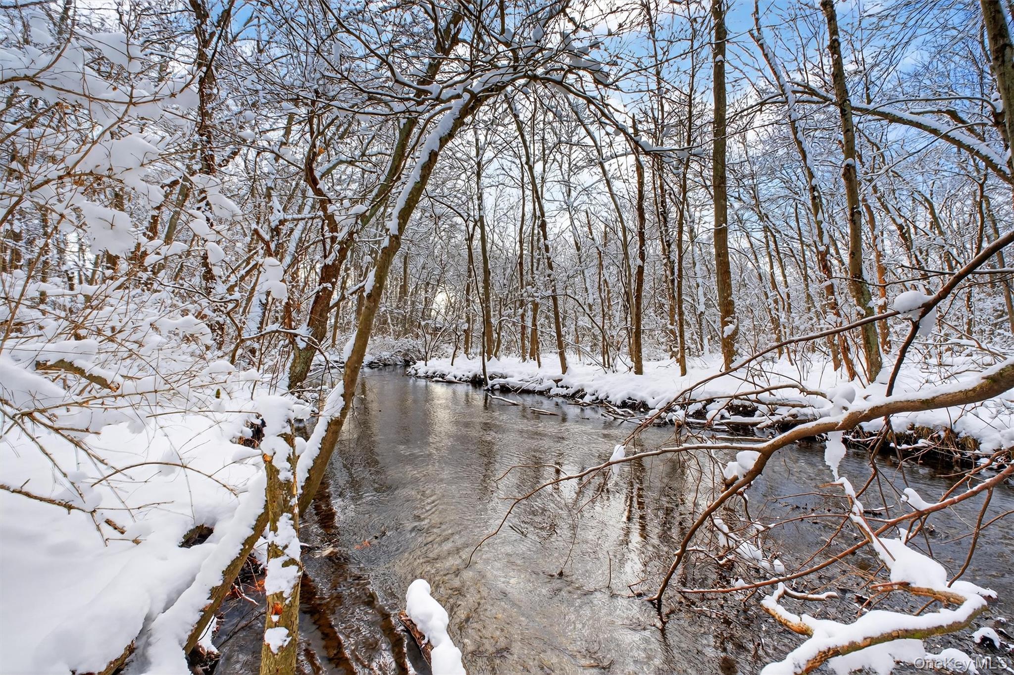 91 Clove Branch Road Out of NYC Hopewell Junction, NY 12533