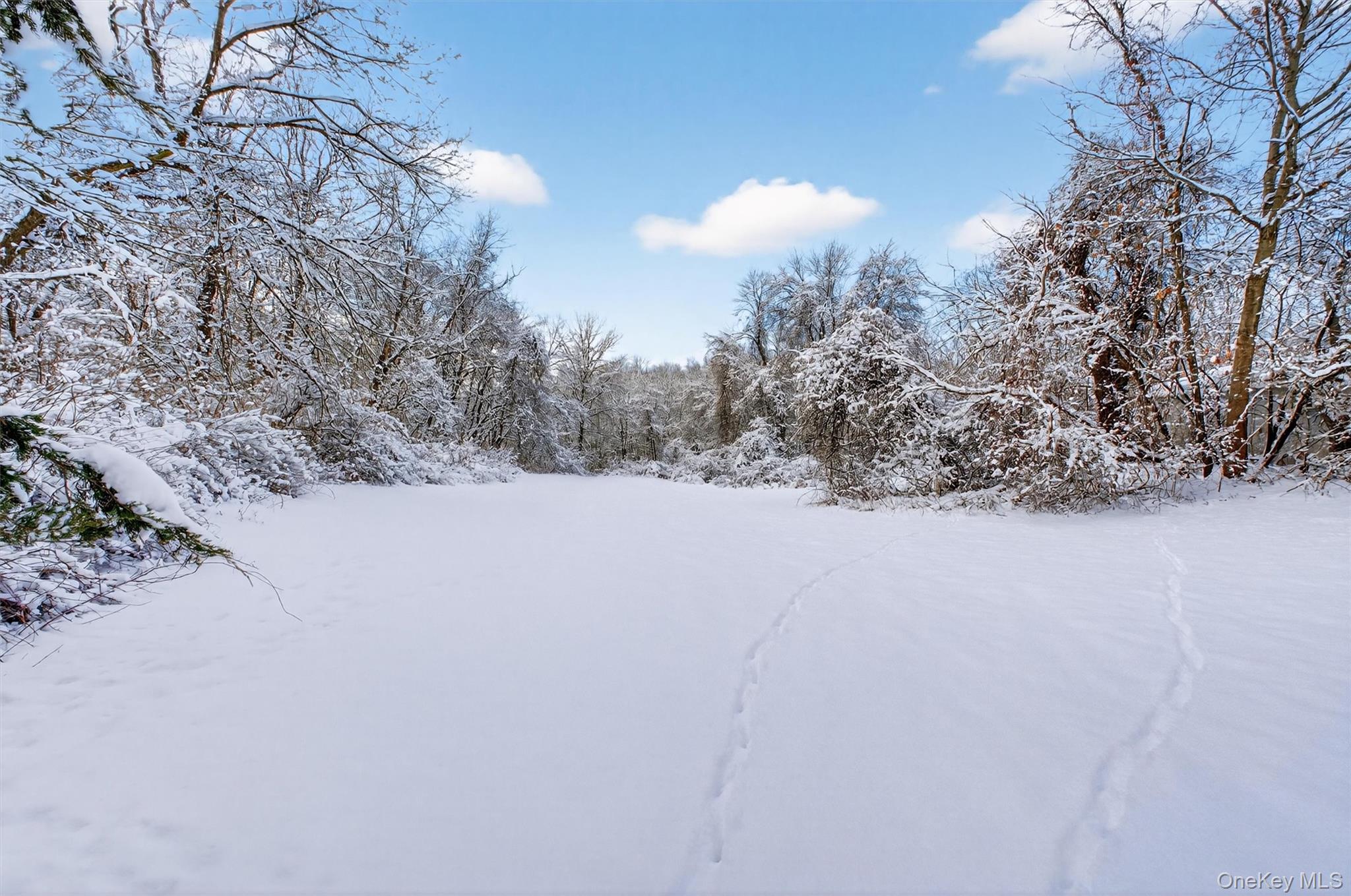 91 Clove Branch Road Out of NYC Hopewell Junction, NY 12533