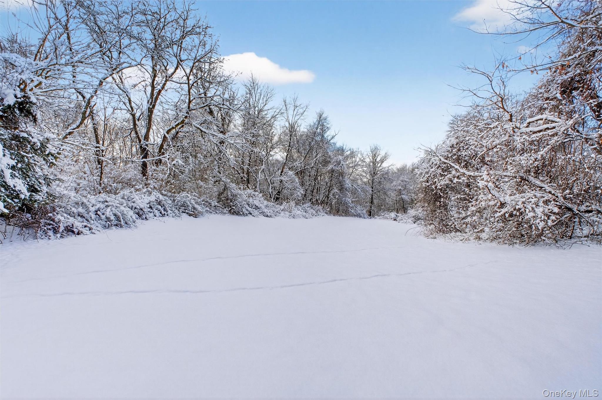 91 Clove Branch Road Out of NYC Hopewell Junction, NY 12533