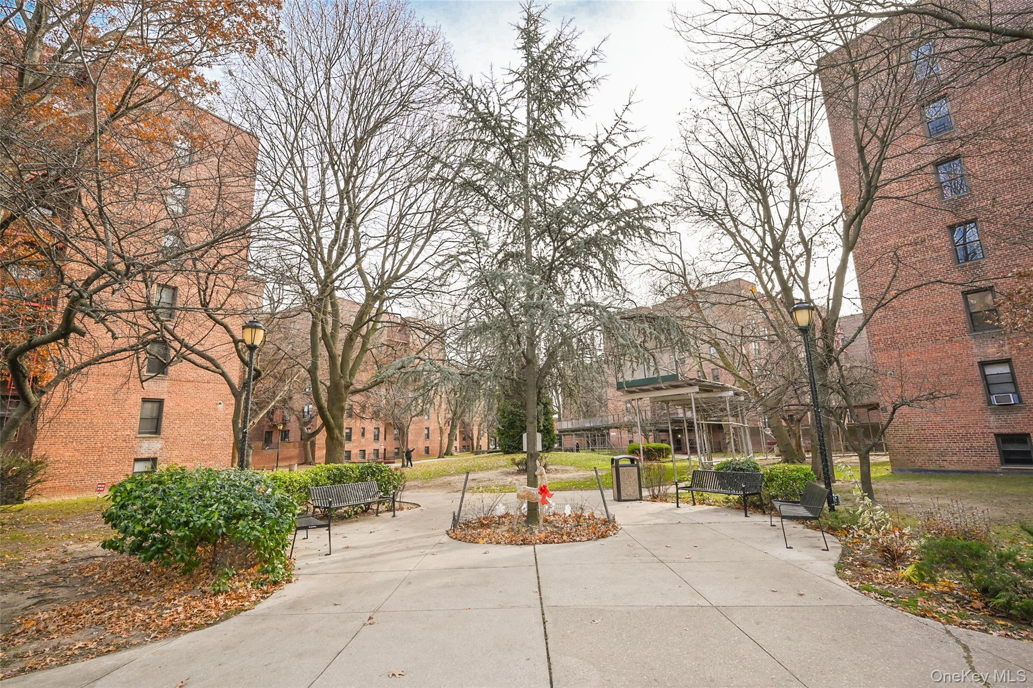 150-40 71 avenue 4-G Flushing Flushing, NY 11367