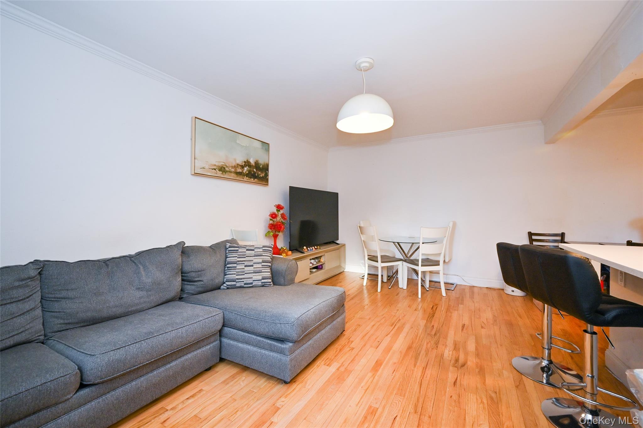 150-30 71st Avenue 2-F Flushing Flushing, NY 11367