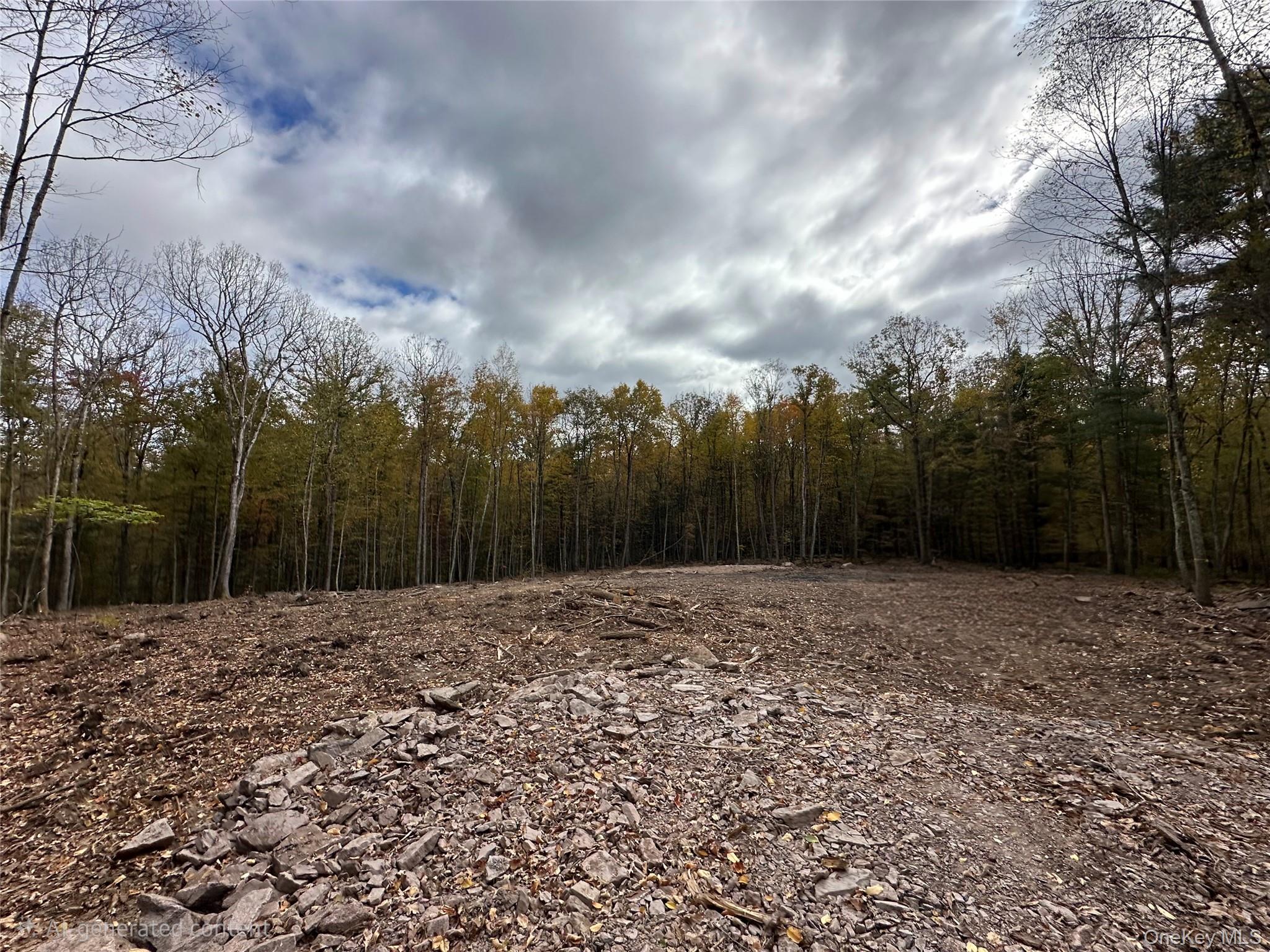 Lot 1.6 Foster (South) Trail Out of NYC Narrowsburg, NY 12764