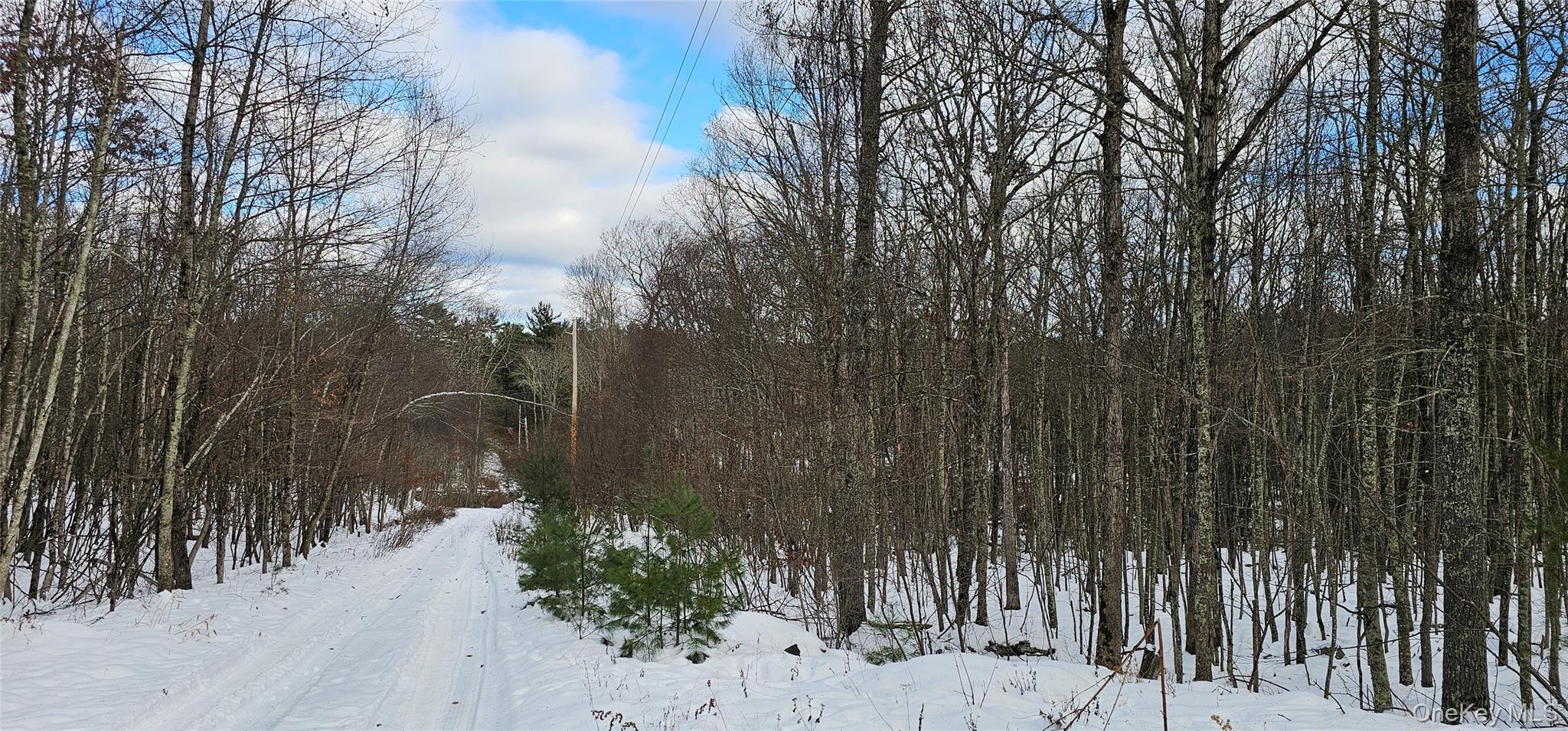Lot 1.6 Foster (South) Trail Out of NYC Narrowsburg, NY 12764