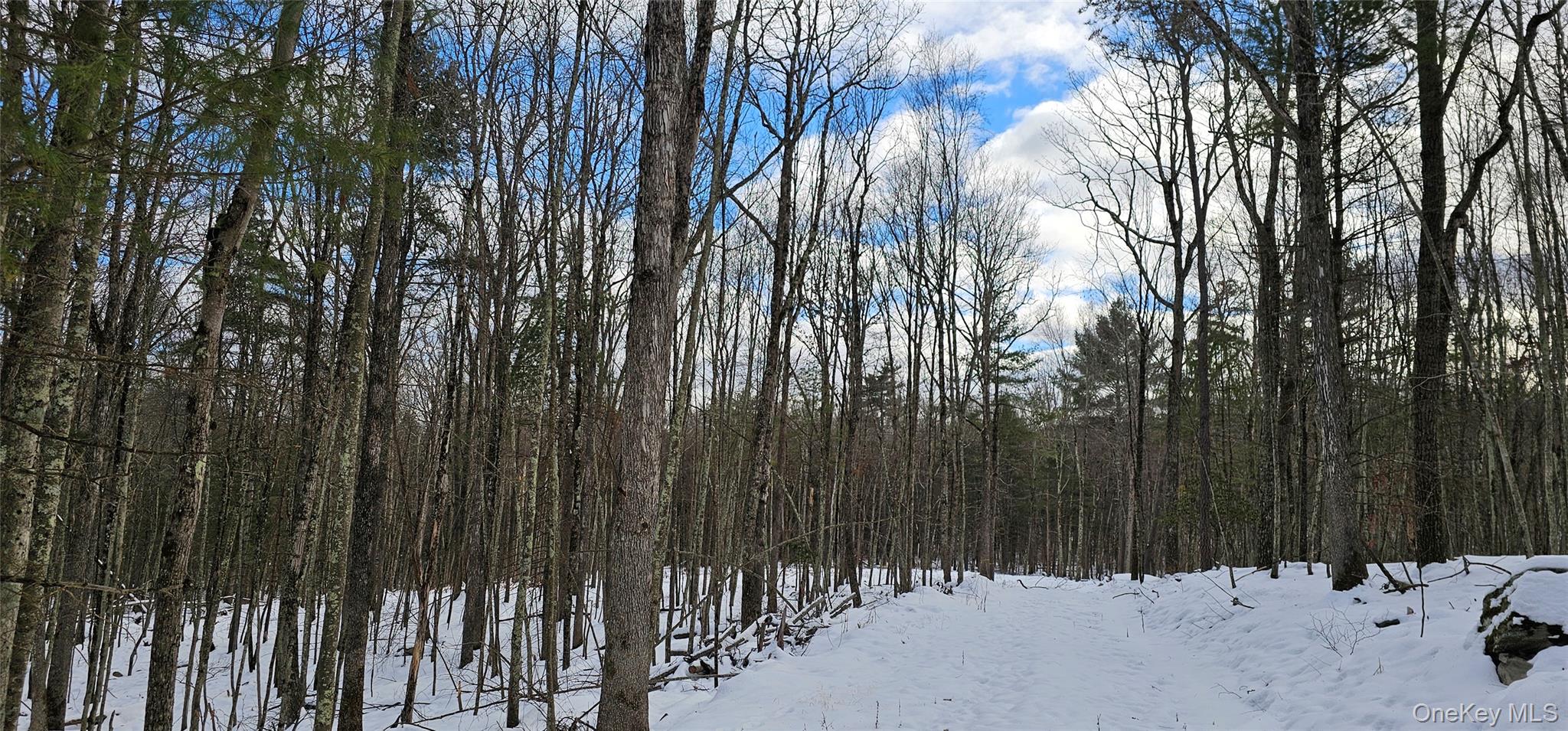 Lot 1.6 Foster (South) Trail Out of NYC Narrowsburg, NY 12764