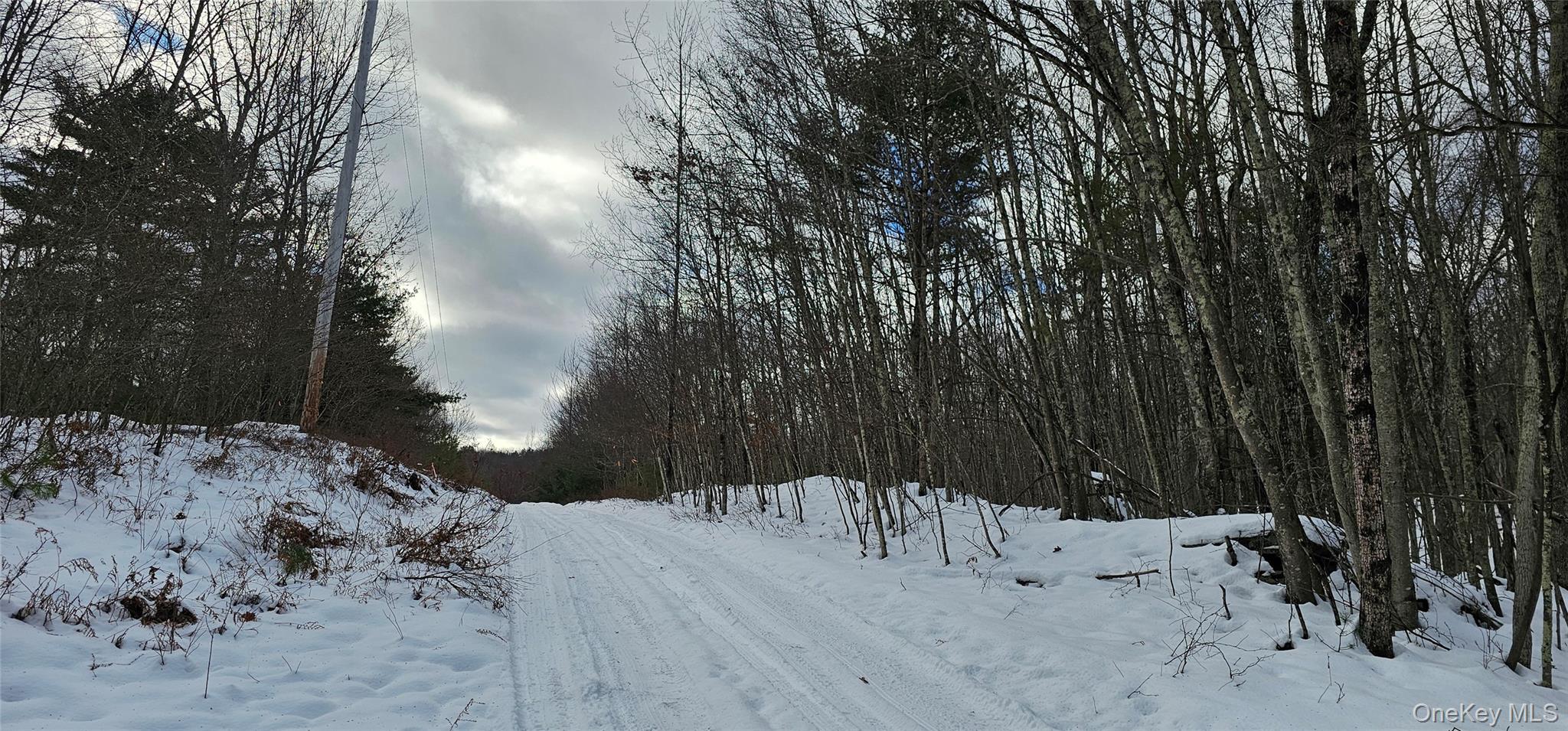 Lot 1.6 Foster (South) Trail Out of NYC Narrowsburg, NY 12764