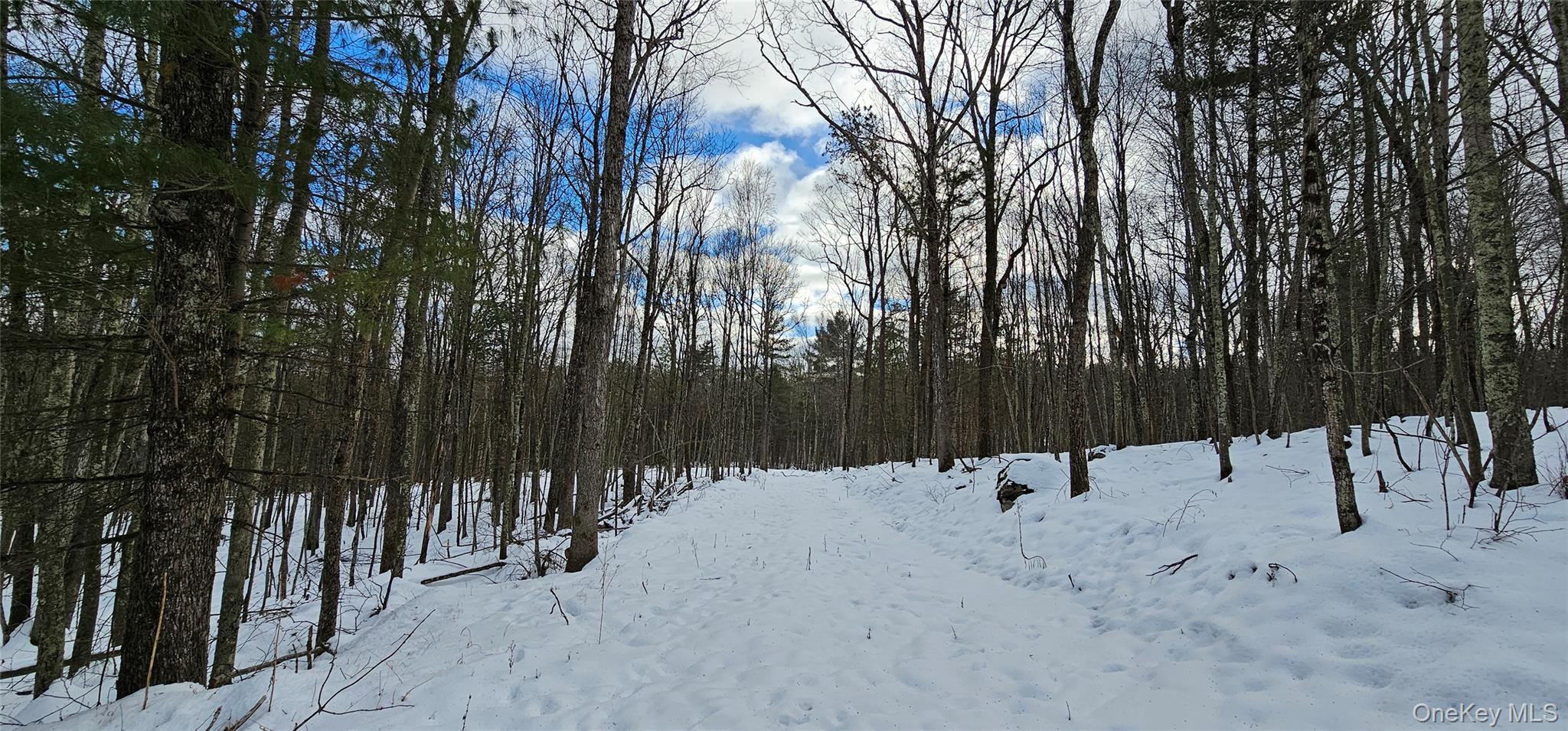 Lot 1.6 Foster (South) Trail Out of NYC Narrowsburg, NY 12764