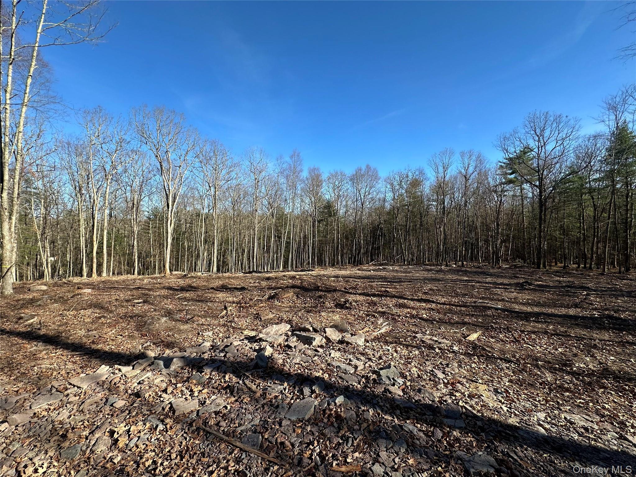 Lot 1.6 Foster (South) Trail Out of NYC Narrowsburg, NY 12764