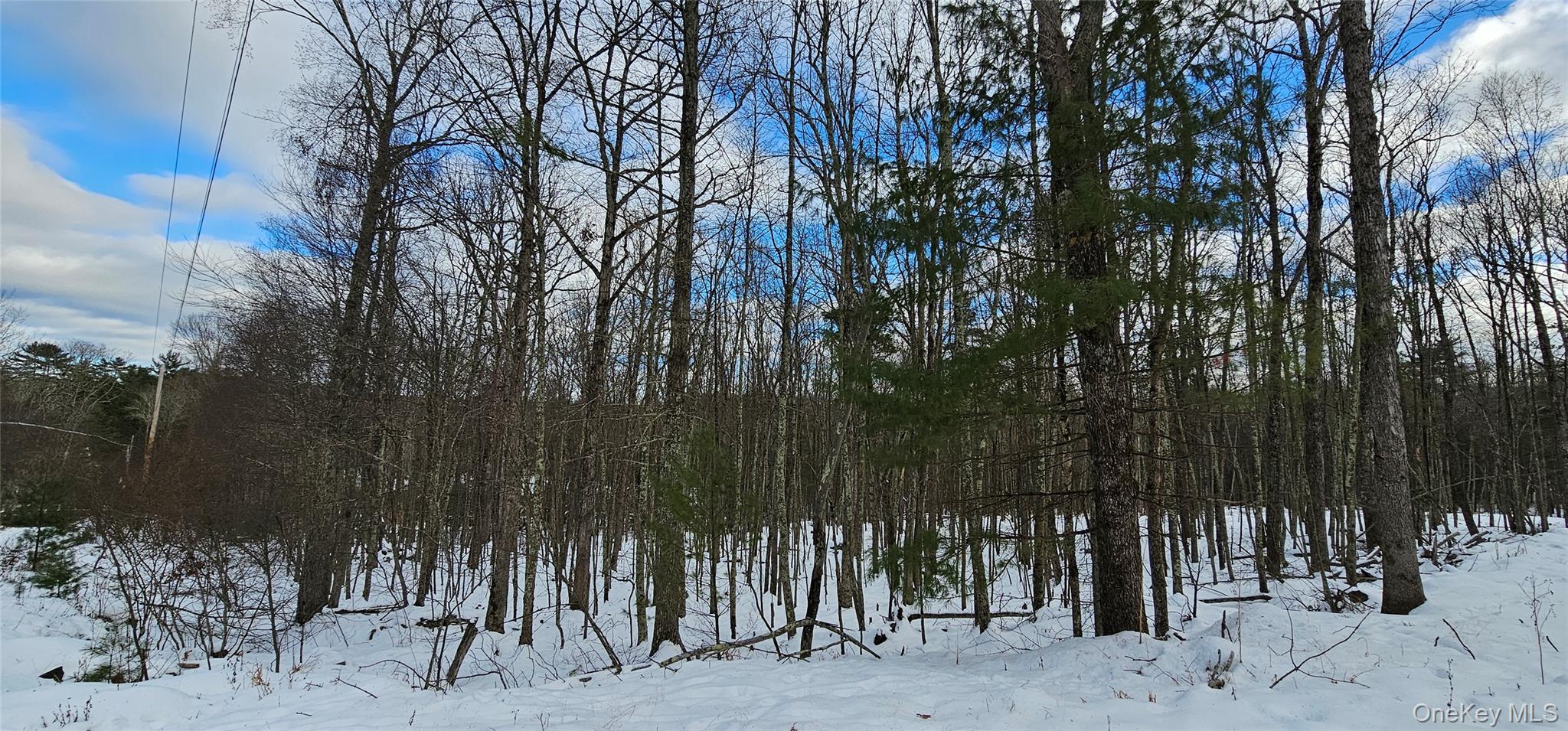 Lot 1.6 Foster (South) Trail Out of NYC Narrowsburg, NY 12764