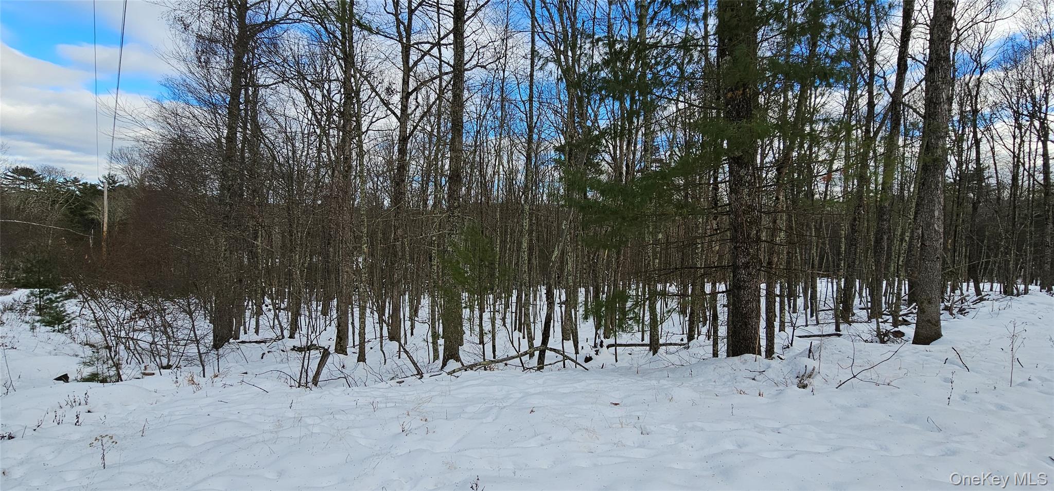 Lot 1.6 Foster (South) Trail Out of NYC Narrowsburg, NY 12764