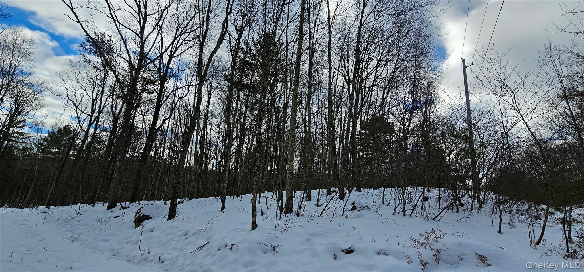 Lot 1.6 Foster (South) Trail Out of NYC Narrowsburg, NY 12764