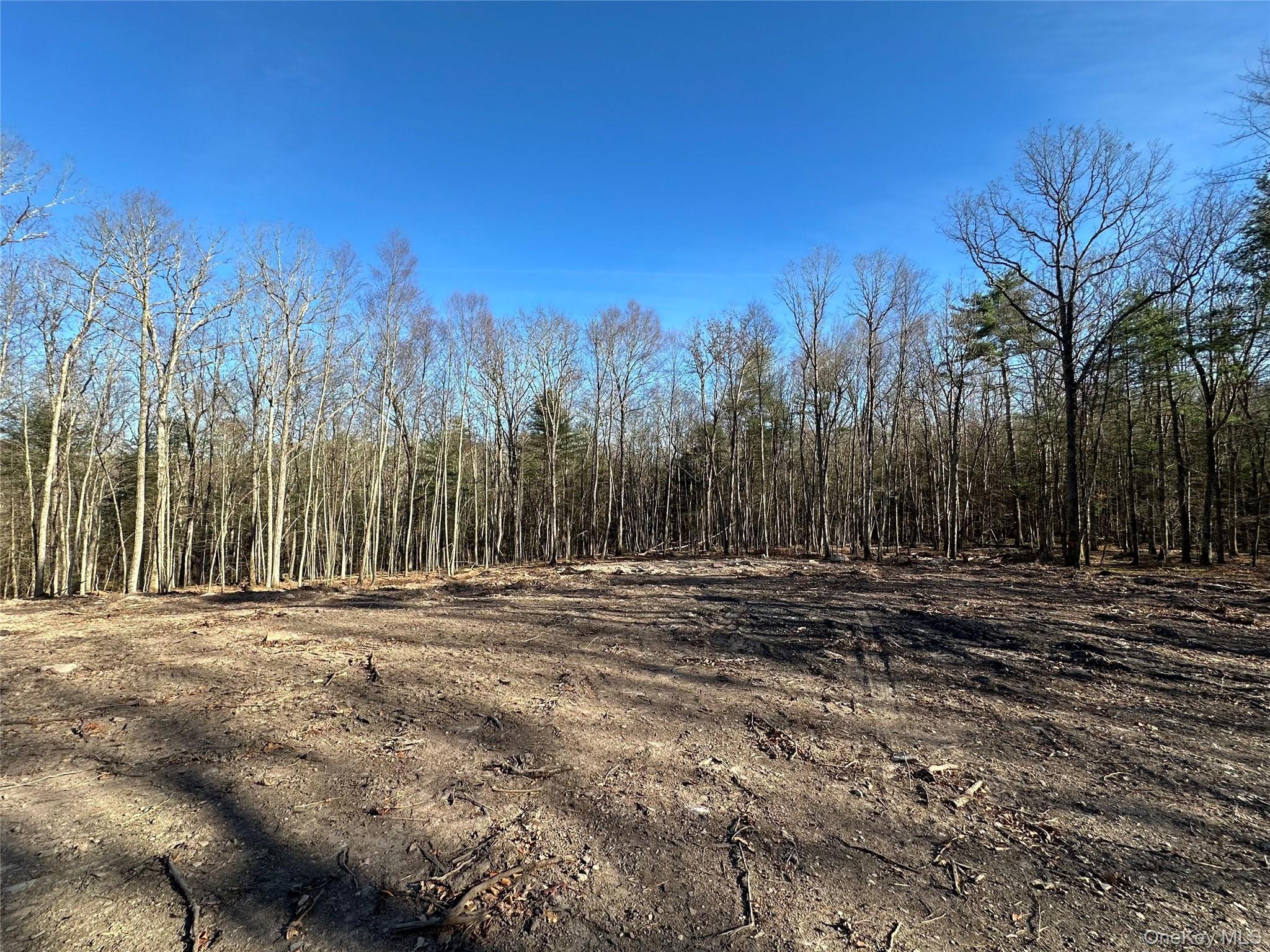Lot 1.6 Foster (South) Trail Out of NYC Narrowsburg, NY 12764