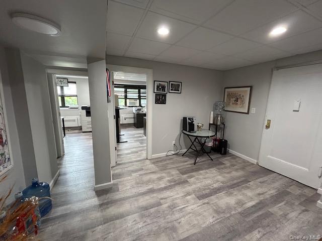 15 Canterbury Road A3 Great Neck Great Neck, NY 11021