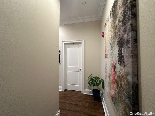 50-3K Stewart Avenue 3-K Huntington Huntington, NY 11743